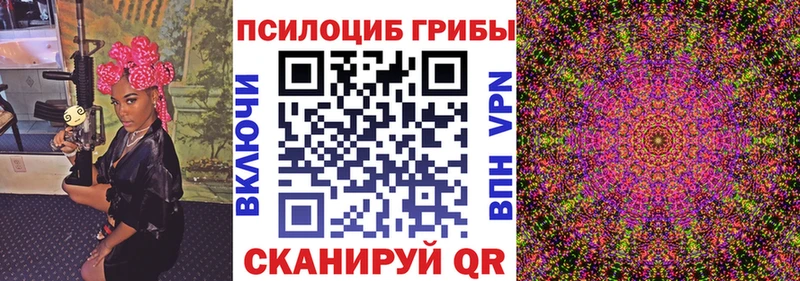 kraken вход  цена   Вятские Поляны  Псилоцибиновые грибы Psilocybine cubensis 