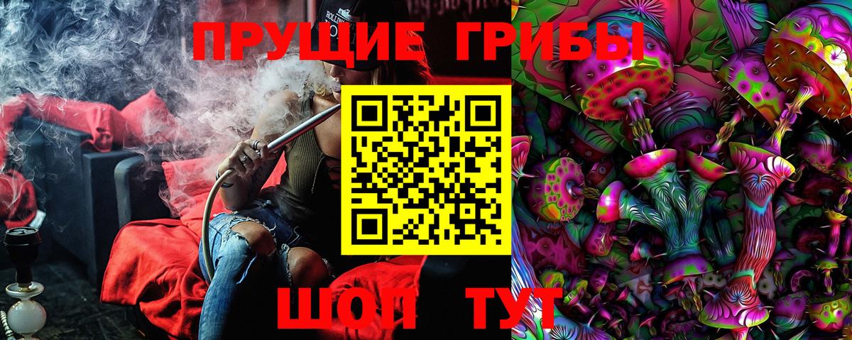 Вятские Поляны  Псилоцибиновые грибы Magic Shrooms  где найти наркотики  Вход с VPN 
